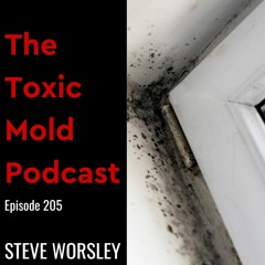 EP 205: Black Mold & Windows