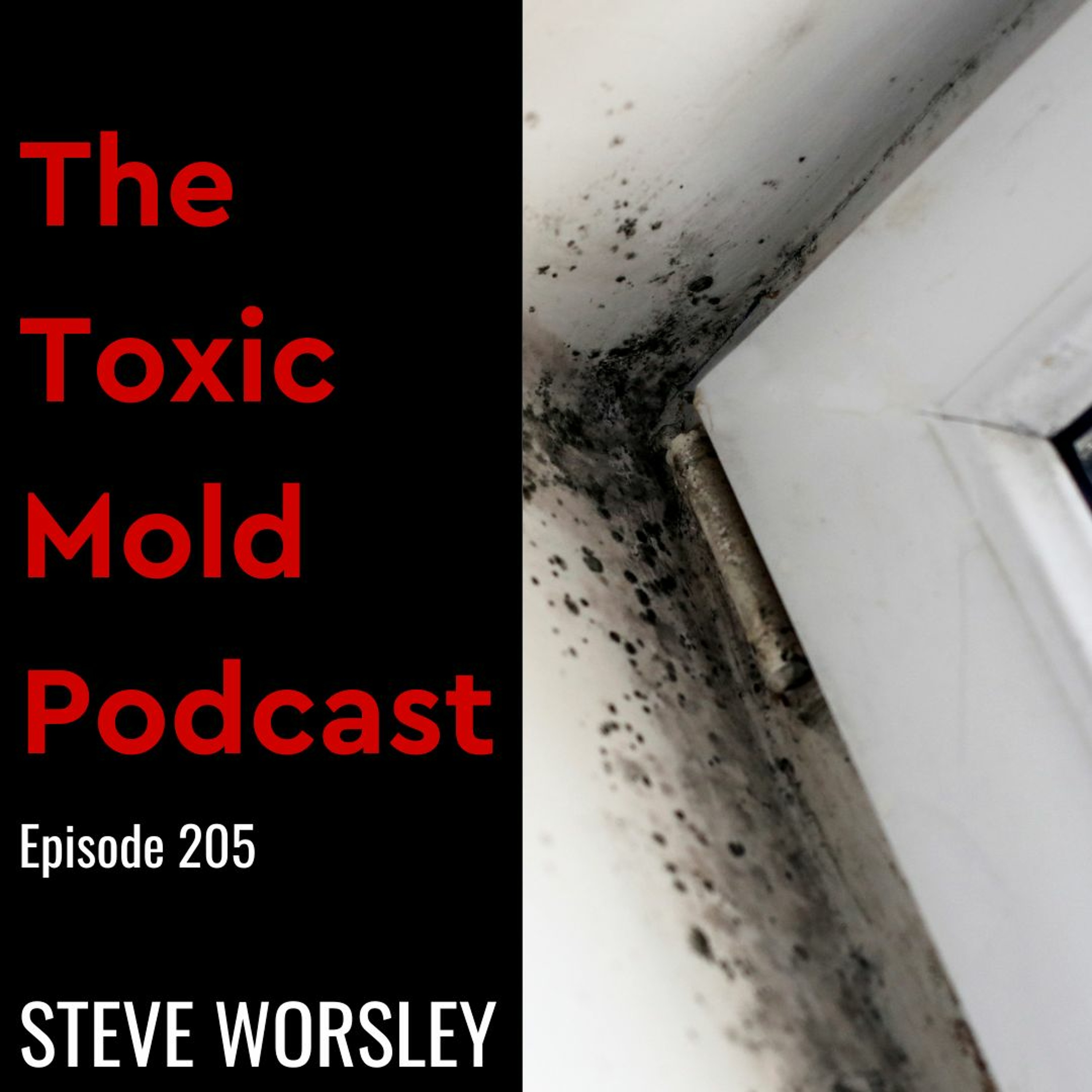 The Toxic Mold Podcast