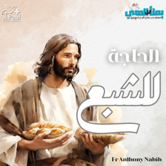 Need for Satiety - Fr Anthony Nabih الحاجة للشبع