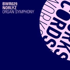NORLYZ - Organ Symphony (Andre Lodemann Remix)