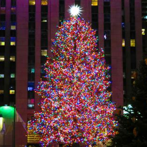 Review Special Price Rockefeller Center Christmas Tree-Lighting Party