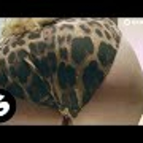 Spinnin Records on Automix MTV