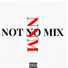 NOT NO MIX (NNM) (Leaked) (Prod.Ph4ntom)