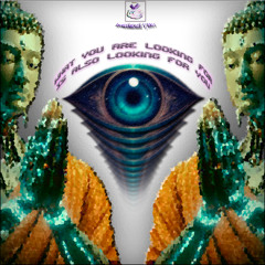PULZAR PREMIERE: Pom Poko DJ - I Don´t Sleep I Do Time Jumps [loveisthetruth VA003]