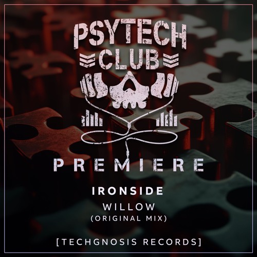 PREMIERE: Ironside - Willow (Original Mix) [Techgnosis Records]