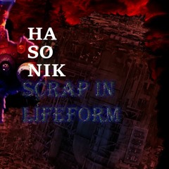 SCRAP IN LIFEFORM
