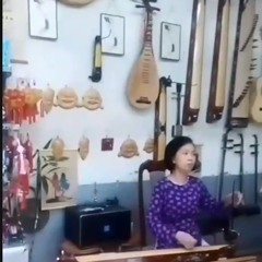 Đàn bầu (Dan bau) 彈匏 độc huyền cầm 独弦琴 獨弦琴 đàn một dây