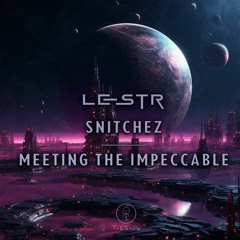 LeStR - Snitchez / Meeting The Impeccable