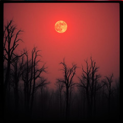 I can't stand to be in this place