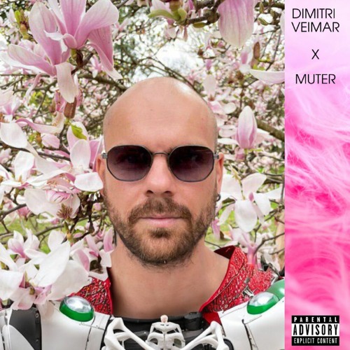 Dimitri Veimar - Pioneer Хаос