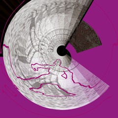 survive the ring/thank you