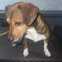 Like a Virgin - #QuarantineLife2021