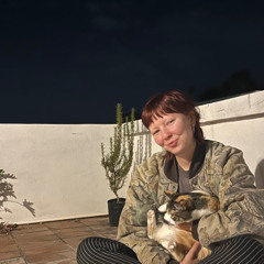 No Man's Land 02.12.25 - Belgian new wave & darkwave