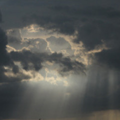 Sitting In The Sunshine