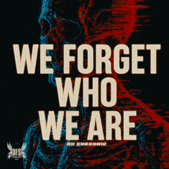 We Forget Who We Are