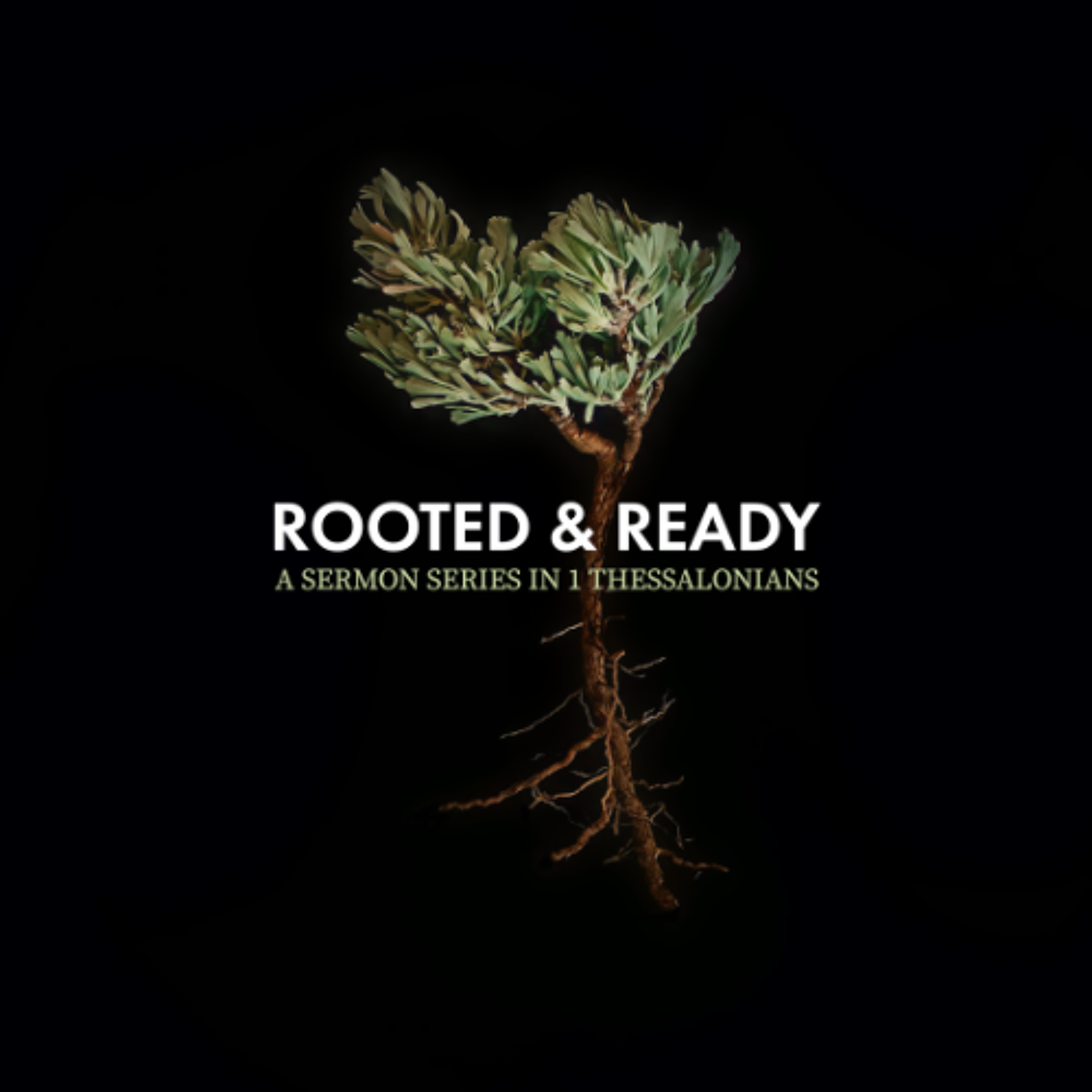 Rooted and Ready: God's Faithfulness | 1 Thessalonians 5:23-28 | Michael Adegbite | 31th August 2025 episode artwork