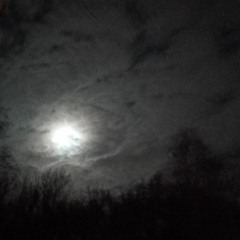 Zavera - Moon