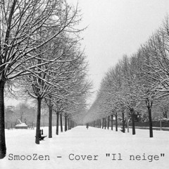 Cover SmooZen - Il Neige (Voyou)
