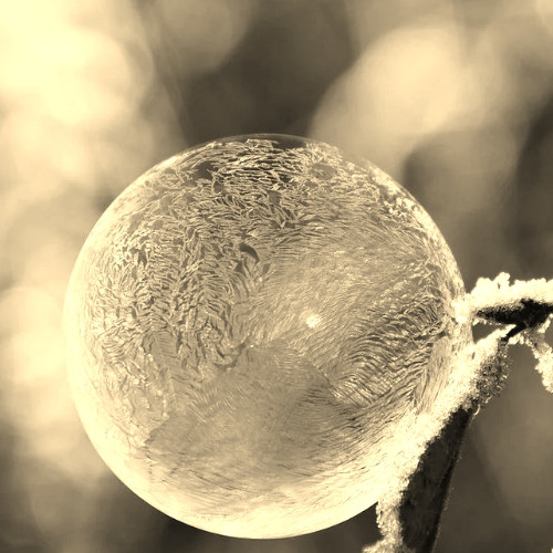 The Selection Series