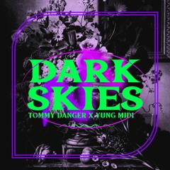 Dark Skies
