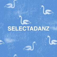 SELECTADANZ 13   //   PARISSIOR (Espacio Cielo)