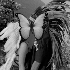 Don't Fly Away More Than 30min