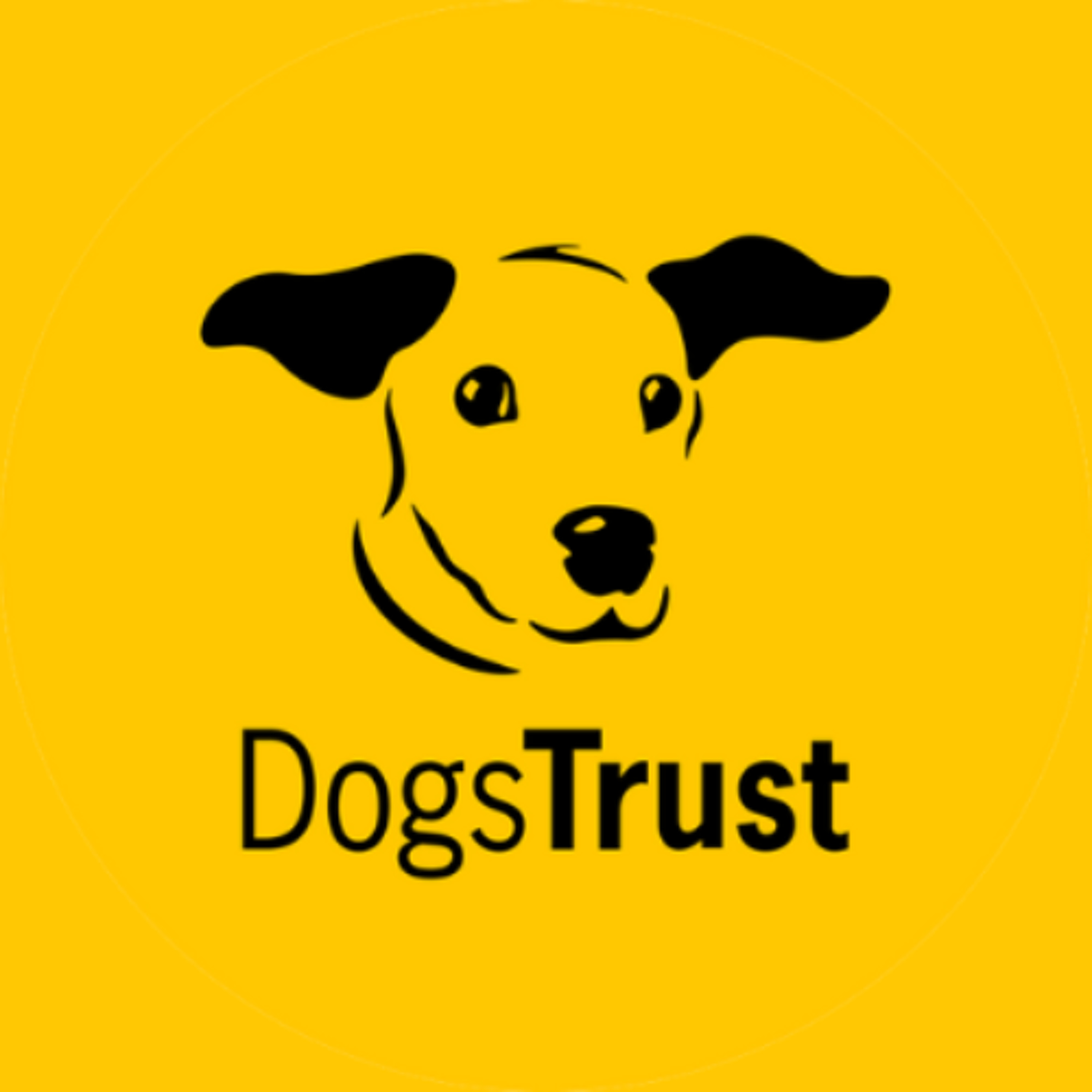 Dogs Trust Advice For Halloween