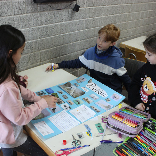 Interview Seehundstation Friedrichskoog