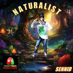 SENNID & TERRY VIBES PRODUCTIONS - NATURALIST