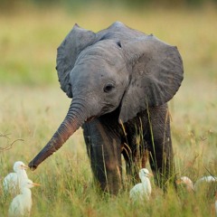 [FREE] Lyrical Hip-Hop Beat | Eminem Mockingbird Type Beat 2020 | Rap Instrumental