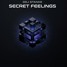 Secret Feelings DDJ STANKE
