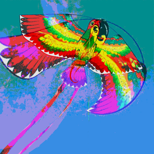 Soaring (naviarhaiku569)