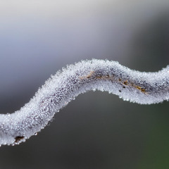 _Tu Camino_ (Your Path)