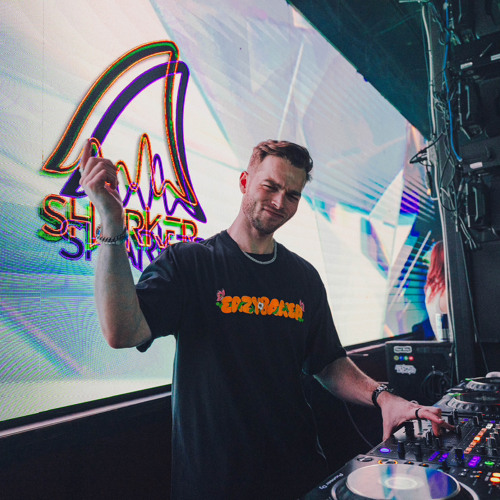 HEYZ Direct Support Set (Road to Dancefestopia)