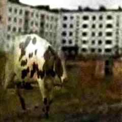 3បីપ્રથમ