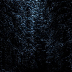 enduser - fallen night (WIP) v6