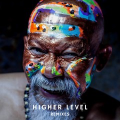 Higher Level (Pawas' High In Berlin Dub)