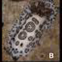 one blue minute past a buzz (demo)