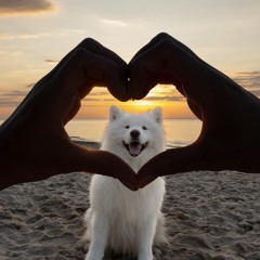 하고 싶은 말이 너무 많았는데