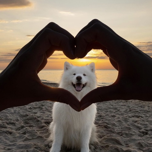 하고 싶은 말이 너무 많았는데