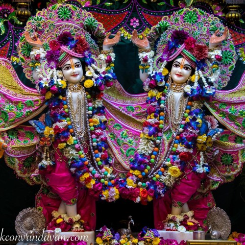Favourite Pavan Nitai Pr's kirtan