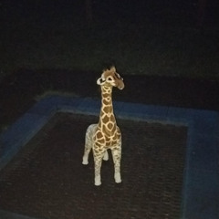 BT Euphoric Trance Mix #1