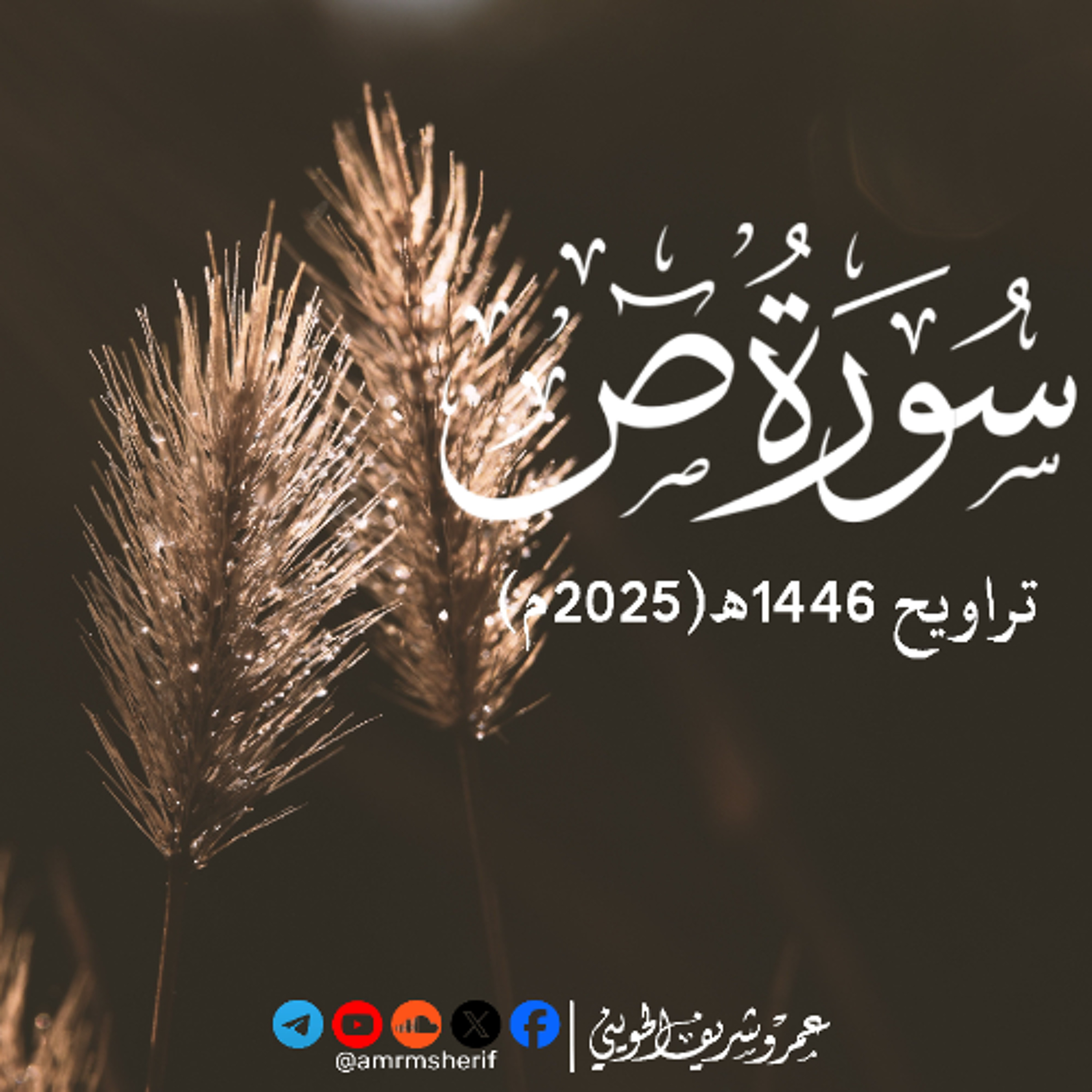 سورة ص | تراويح 1446هـ (2025م) | عمرو شريف الحويني episode artwork