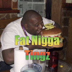 Fat Nigga Tingz