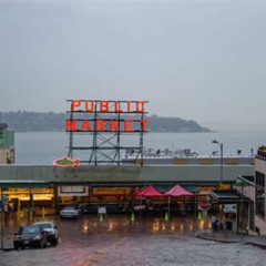 Best Things To Do In Seattle On A Rainy Day Tours Review