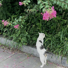 이유