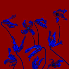 scarlet blue you - original song