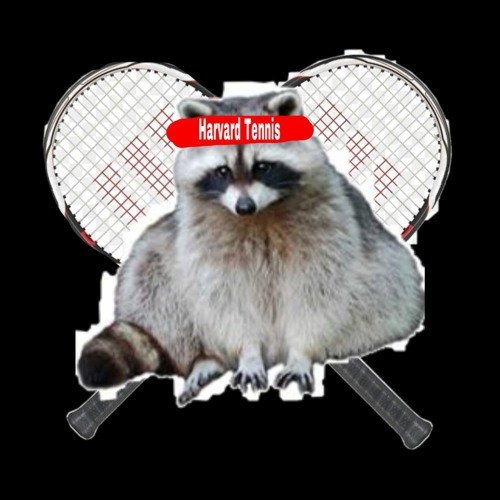 Stream Racoon Tennis by Border Cklan | Listen online for free on ...