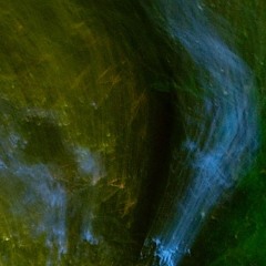 250817 - Cetacean Ambient