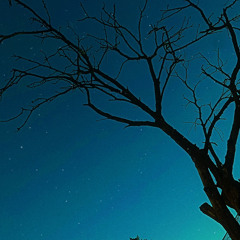 Alone(prod.Lil Biscuit)